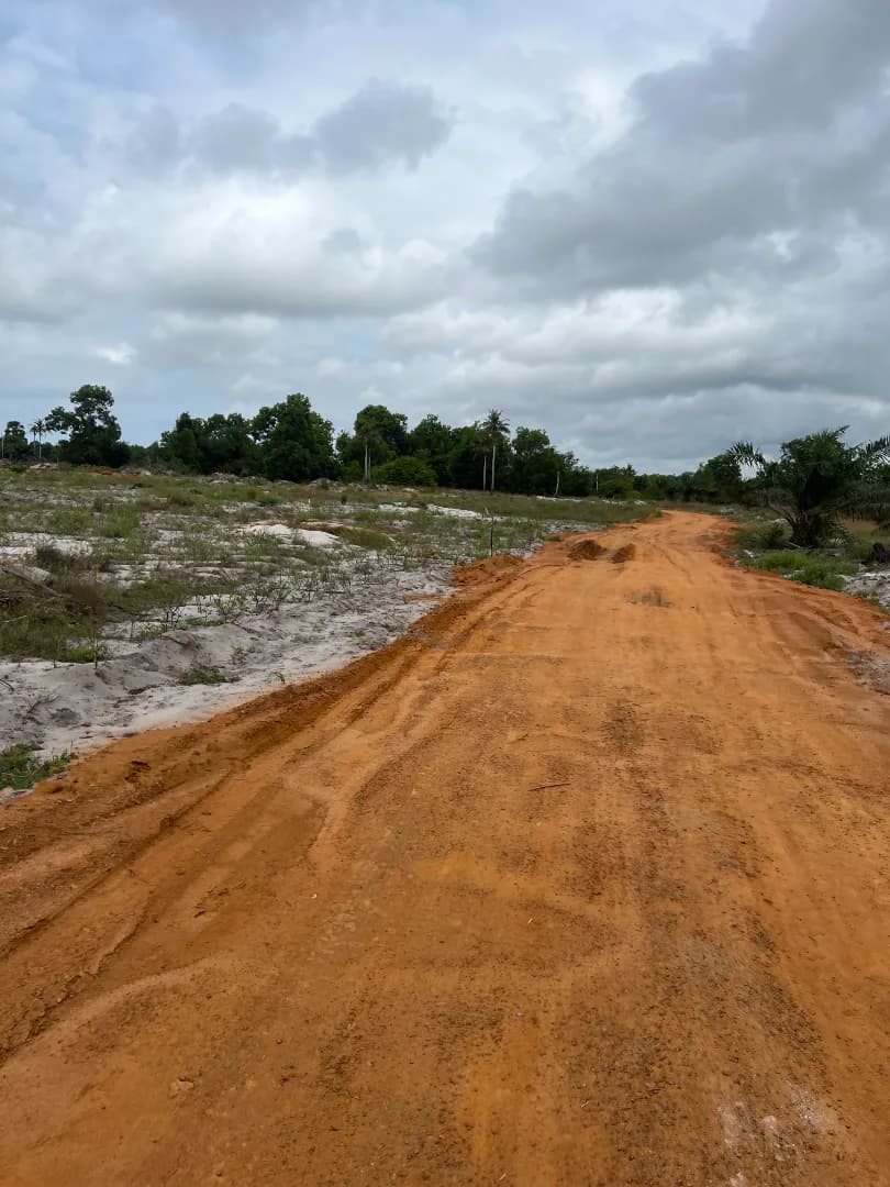 The Constitution of Land Reserves and the Purge of Customary Rights