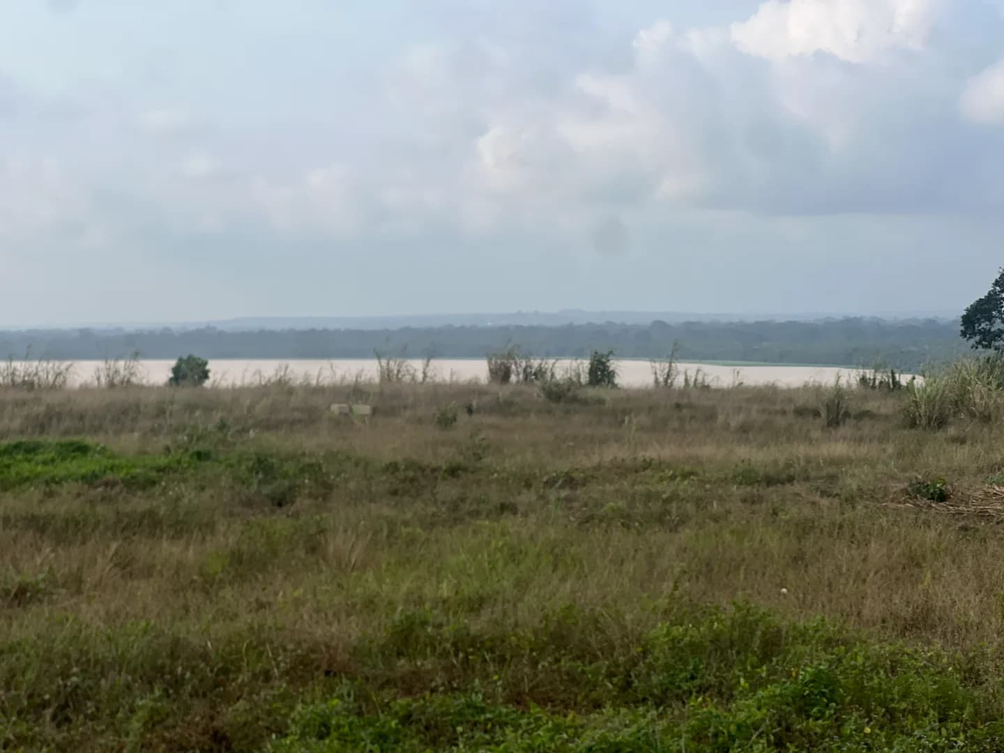 Deux lots contigus de 400 m² face à la lagune Ébrié