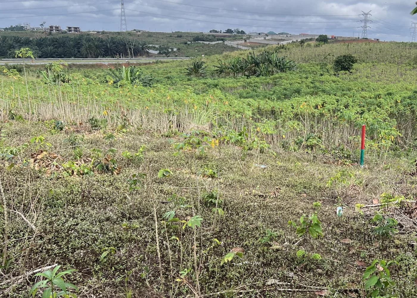 Deux lots contigus de 400 m² à Adonkoi, près de la Y4